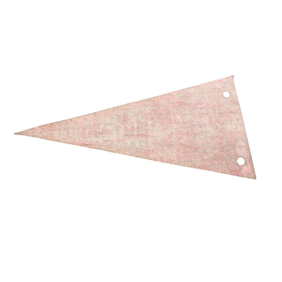 Langrells Hitching Post Museum Haines Oregon Mini Pennant Vintage Souvenir - Picture 2 of 2